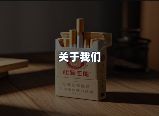 关于我们